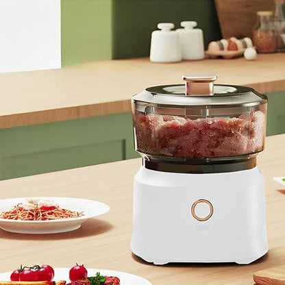 hachoir-a-viande-electrique-authentique
