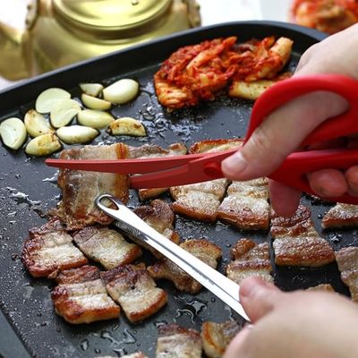 PINCE POUR BARBECUE | GRILLARDIN