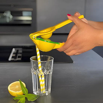 presse-citron-manuel-arroser