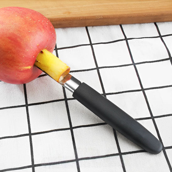 vide-pomme-precis