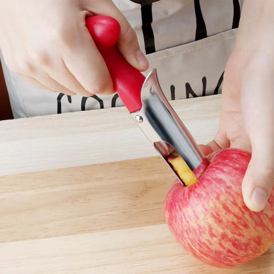 vide-pommes-moderne